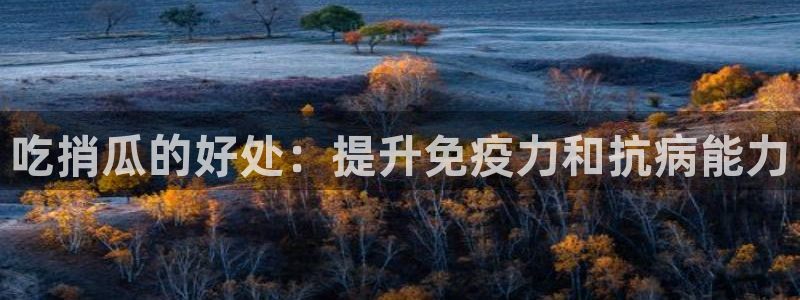 51吃瓜今日必吃刀刀：吃捎瓜的好处：提升免疫力和抗病能力