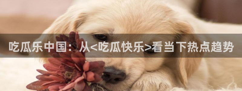 51cg每日吃瓜：吃瓜乐中国：从<吃瓜快乐>看当下热点趋势