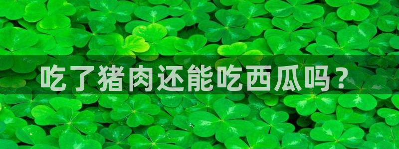 各种网红爆料吃瓜网站