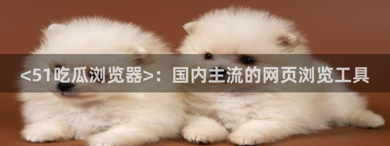51吃瓜张津瑜：<51吃瓜浏览器>：国内主流的网页浏览工具