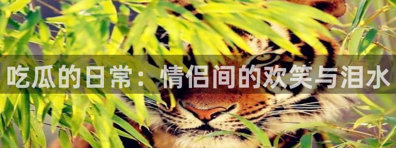 51.cgfun吃瓜：吃瓜的日常：情侣间的欢笑与泪水