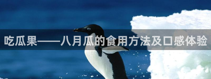 51吃瓜 张津瑜 网:吃瓜果——八月瓜的食用方法及口感体验