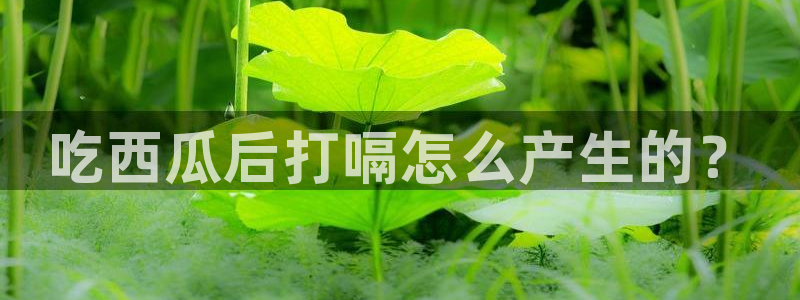吃瓜吃到自己头上