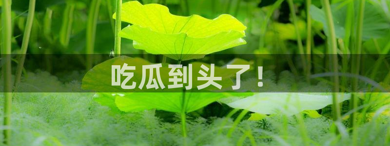 51cg每日吃瓜:吃瓜到头了!