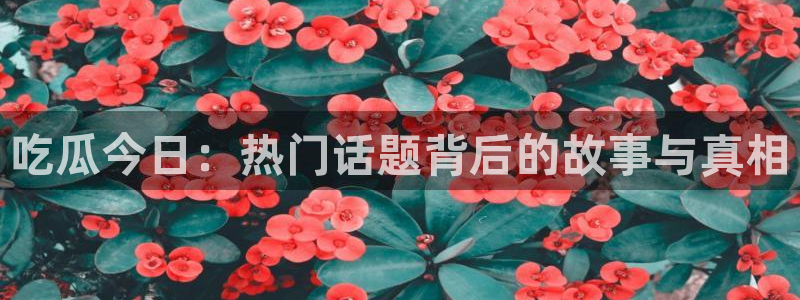 51cg1.ct吃瓜张津瑜