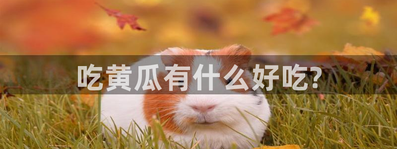 51吃瓜网每日榜单