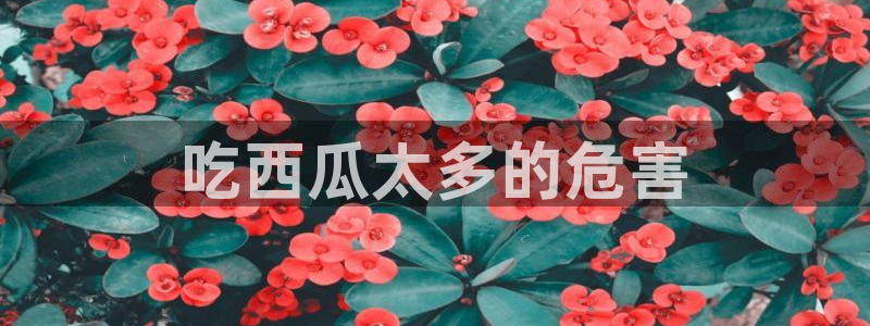 吃瓜网998.su永久有效:吃西瓜太多的危害