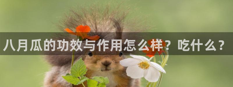 51吃瓜全网更新最快点:八月瓜的功效与作用怎么样?吃什么?