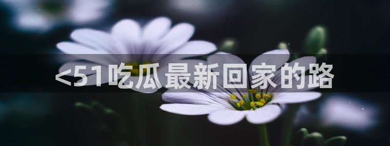 51国产吃瓜在线今日吃瓜:<51吃瓜最新回家的路