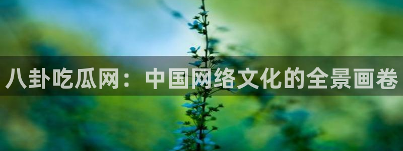 51吃瓜今日吃瓜娜娜:八卦吃瓜网:中国网络文化的全景画卷