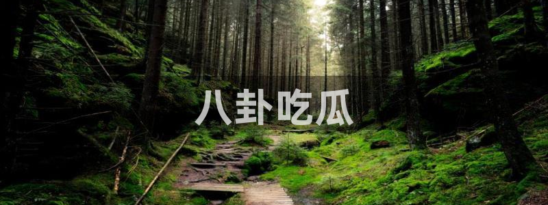 51吃瓜张津瑜
