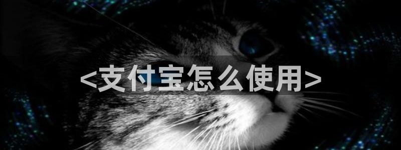www.黑料：<支付宝怎么使用>