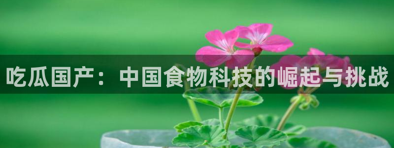 www.黑料.com：吃瓜国产：中国食物科技的崛起与挑战