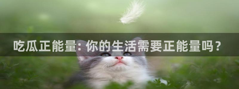 豆瓣自由吃瓜基地：吃瓜正能量: 你的生活需要正能量吗？
