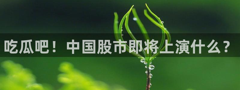 吃瓜是什么意思