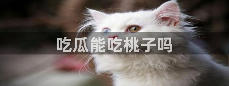 黑料免费：吃瓜能吃桃子吗