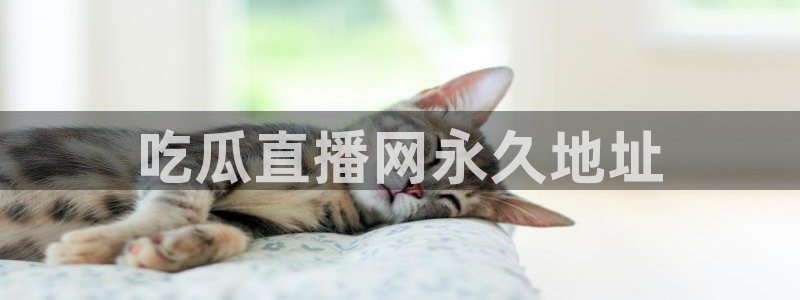 51吃瓜网ccgg:吃瓜直播网永久地址