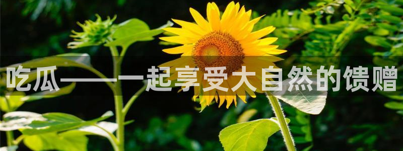 718.sⅹ 吃瓜：吃瓜——一起享受大自然的馈赠